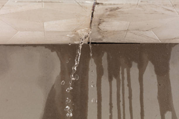 Professional Burst Pipe Cleanup technician working in Thatcher, AZ